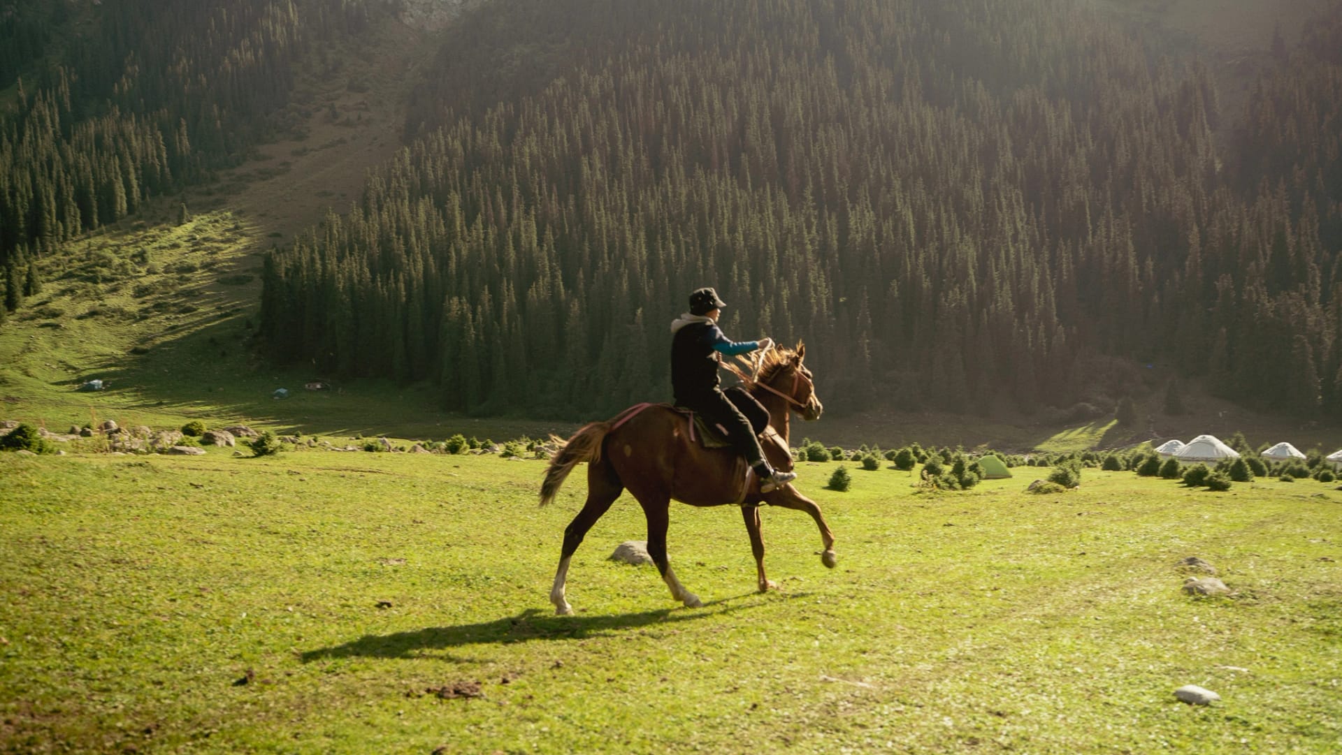 Altyn Arashan valley with horses and the river