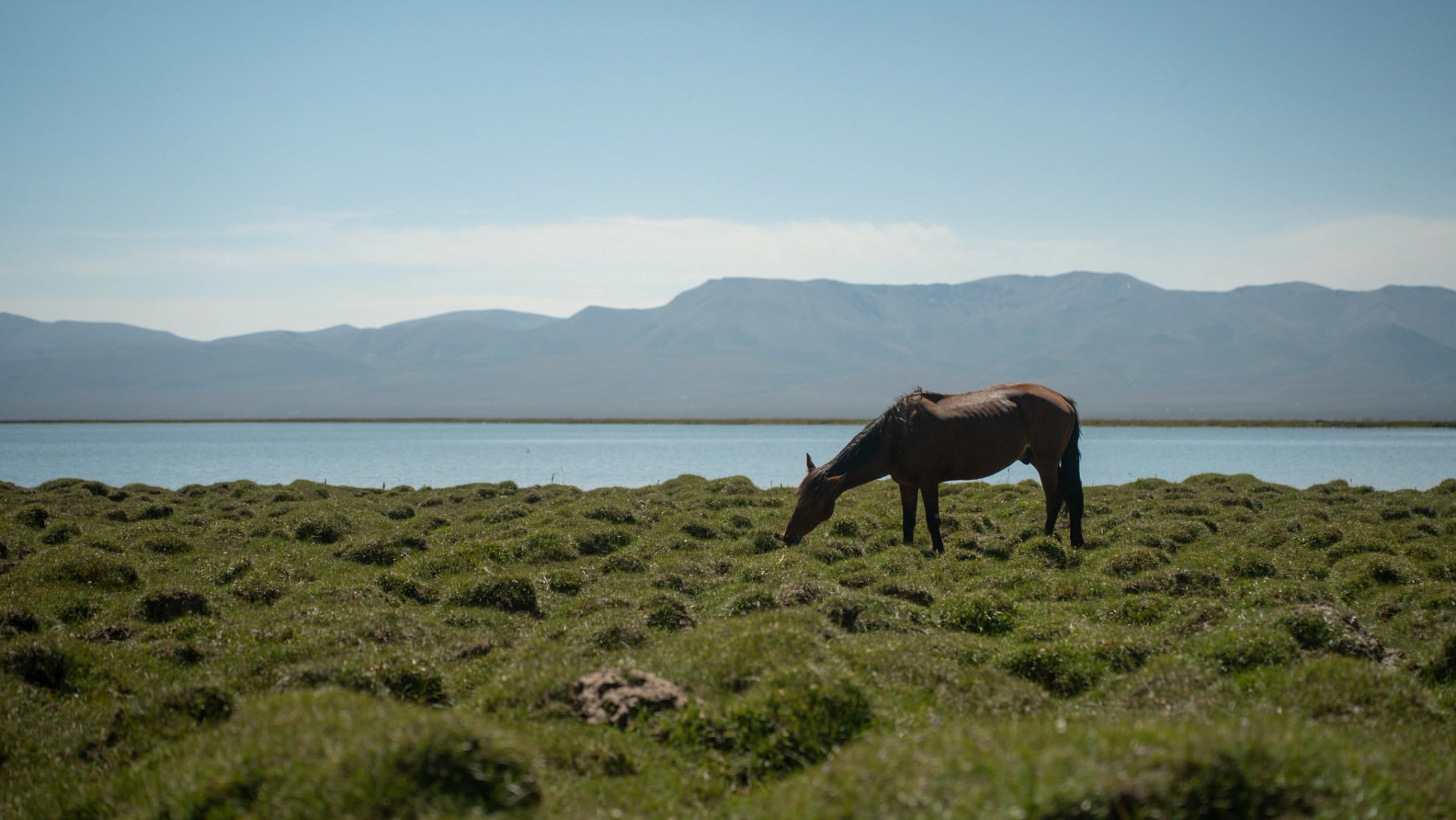 Beste reistijd voor Kyrgyzstan